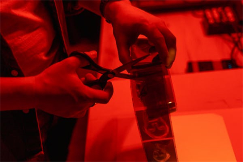 《落花时节又逢君》-全集百度云资源「HD1080p高清中字」