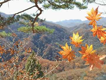 成毅《莲花楼》剧照披风（成毅莲花楼剧照披风图片 ）
